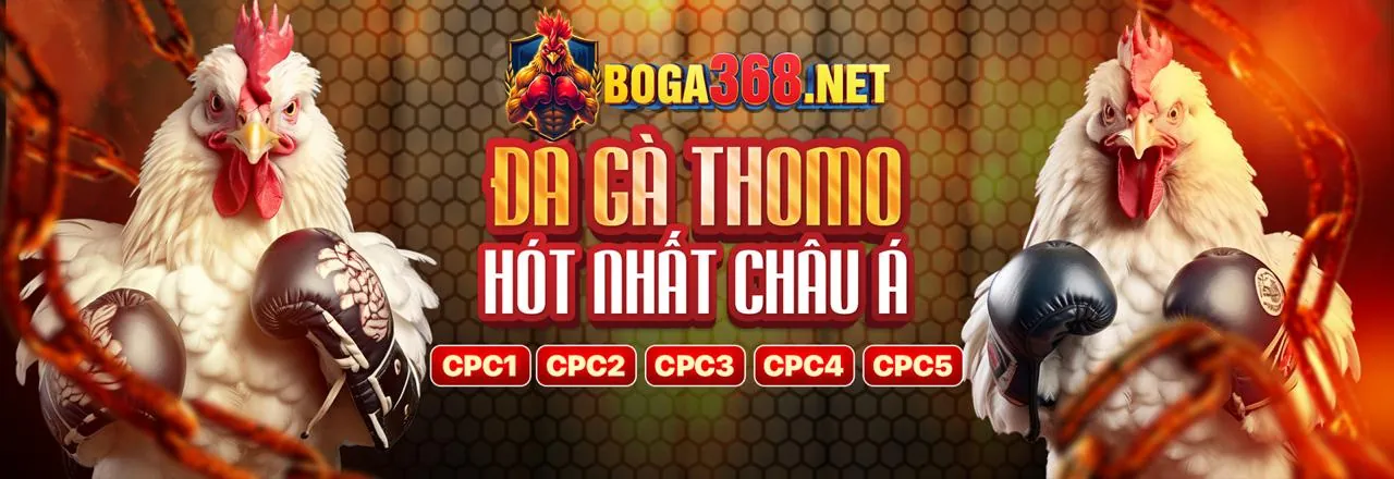 Các loại cá và luật chơi bắn cá tại kibet chính thức
